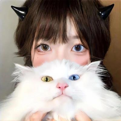 联邦调整局